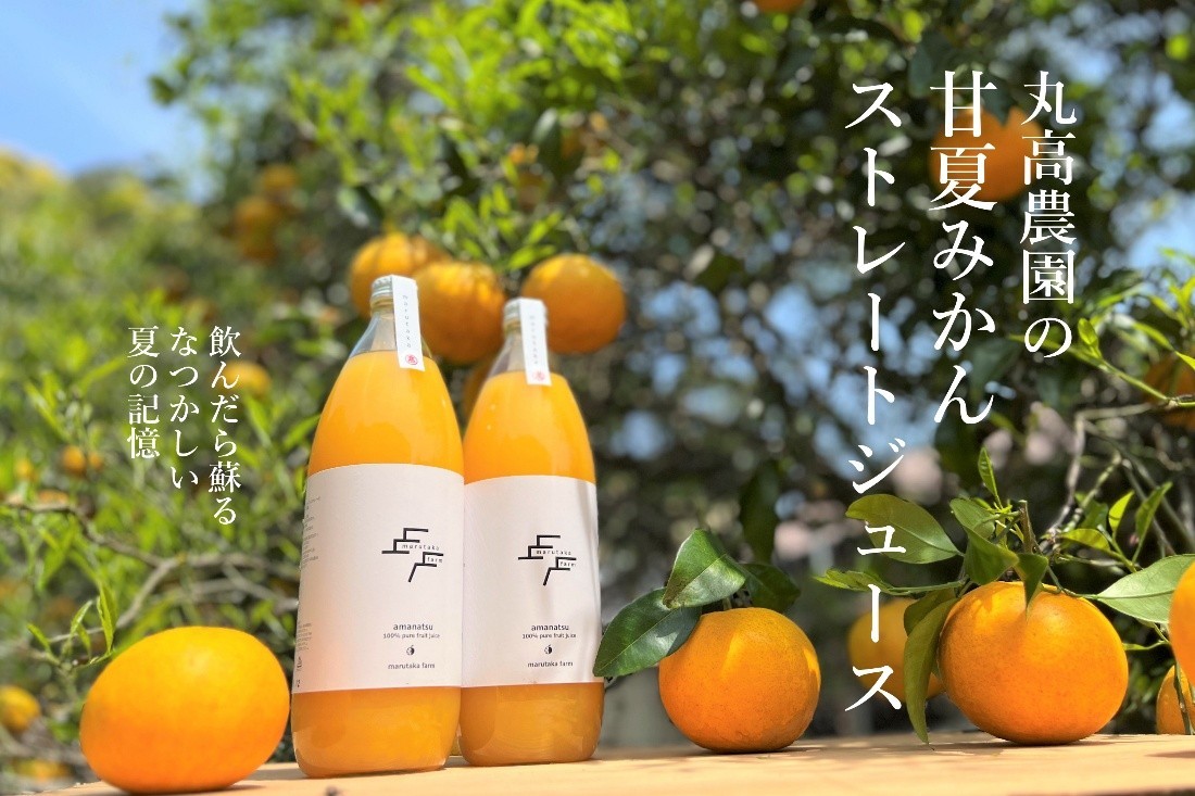 【数量限定】丸高農園の甘夏みかんストレートジュース　　甘夏  椪柑 みかん ミカン 蜜柑 柑橘 果物 フルーツ ジュース フルーツジュース 果汁100％ ストレートジュース 添加物不使用 1L 1リットル 静岡 伊豆 松崎