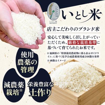 ふるさと納税 糸島市 いとし米 厳選ブレンド 5kg(糸島産) 糸島市/三島商店 [AIM020] |  | 01