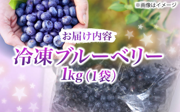 【先行予約受付中】築上町産 冷凍 ブルーベリー 1kg 【2025年9月以降順次発送】《築上町》【(有)工房よしかわ】国産 ブルーベリー [ABAK001] 13000円 1万3千円