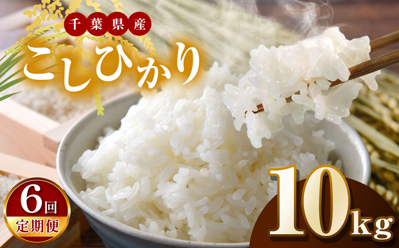 こしひかり10㎏