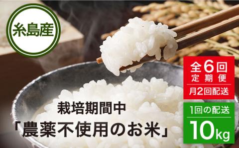 【全6回(月2回)定期便】栽培期間中 農薬不使用 ヒノヒカリ 10kg 糸島市/シーブ [AHC008] 米 定期便