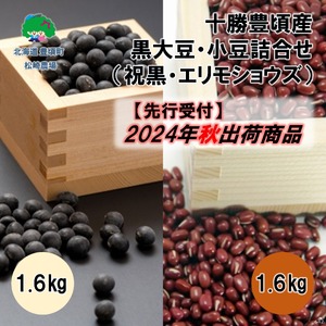 2023年産 十勝豊頃産 黒大豆1.6kg･小豆1.6kg 詰合せ(祝黒･エリモショウズ)［松崎農場］[№5891-0536]