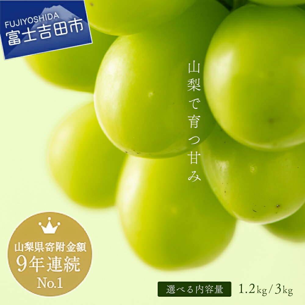 【ふるさと納税】 2026年 先行予約 シャインマスカット 選べる容量 1.2kg以上 3kg 大人気 ご褒美 贅沢 シャイン ぶどう 果物 フルーツ 送料無料 山梨県産 高級 ブドウ 葡萄 大粒 くだもの 厳選 ジューシー 甘さ抜群 2026 旬 富士吉田