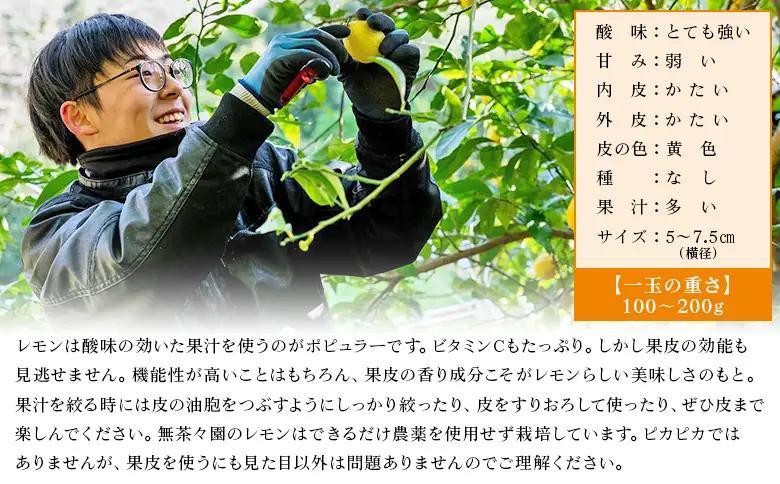 【先行予約】＜無茶々園のレモン 約1kg＋レモンの本＞ フルーツ 果物 くだもの れもん 檸檬 柑橘 香酸柑橘 国産 無茶々園 特産品 愛媛県 西予市【常温】『2027年1月～3月までに順次出荷予定』