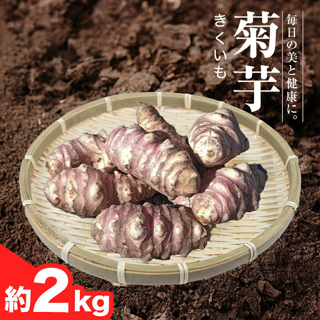 【ふるさと納税】《2025年11月中旬から発送開始》 茨城県桜川市産 菊芋 2kg キクイモ 野菜 やさい 芋 お芋 いも 菊いも 菊イモ きく芋 除草剤・殺虫剤不使用