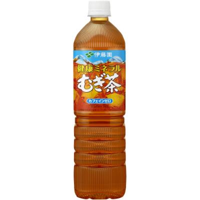 ふるさと納税 神河町 健康ミネラルむぎ茶1L　24本(2ケース)　伊藤園
