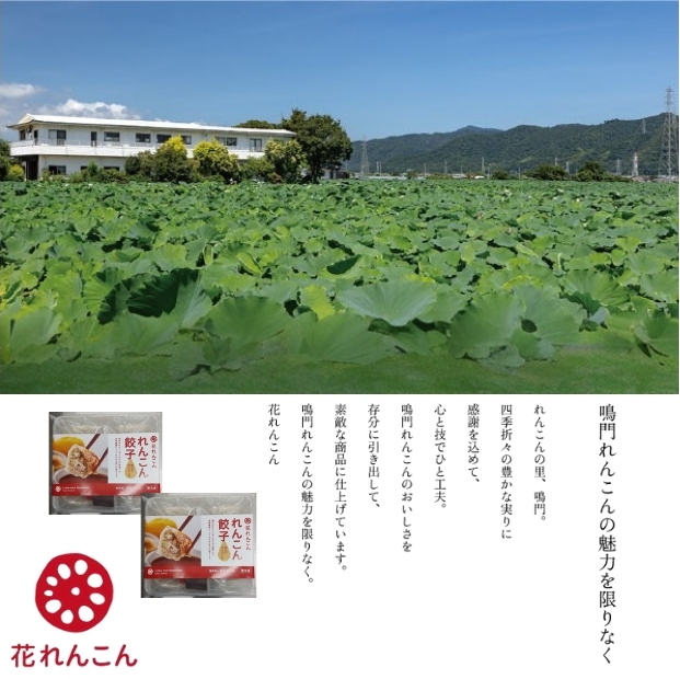 豪華鳴門餃子セット　　鳴門　らっきょう　れんこん　鳴門らっきょ　セット　蓮根　惣菜　冷凍　餃子　餃子　餃子　_イメージ3