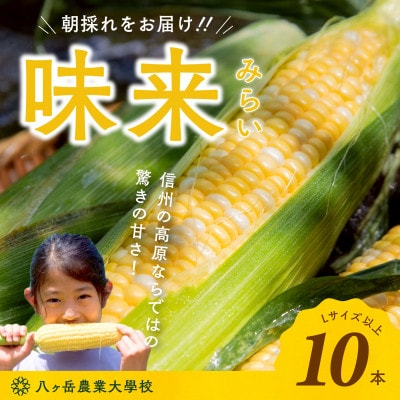 【2026年先行予約】朝採れ直送 フルーツのような甘さ『皮付き』生とうもろこし10本【配送不可地域：離島】
