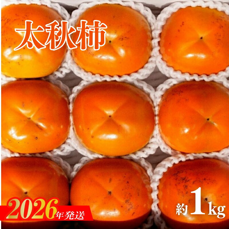 【ふるさと納税】No.3009 太秋柿　約1kg【2026年発送　先行予約】