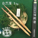 【ふるさと納税】自然薯 1kg 箱入り 減農薬 減化学肥料 山芋 とろろご飯 山かけご飯 おすすめ 贈り物 ギフト お歳暮 ちばエコ農産物 予約受付