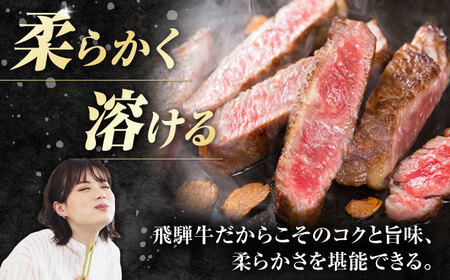 【6回定期便】飛騨牛 ステーキ用計500g 白川町 / 浅井商店[AWBJ031] 飛騨牛