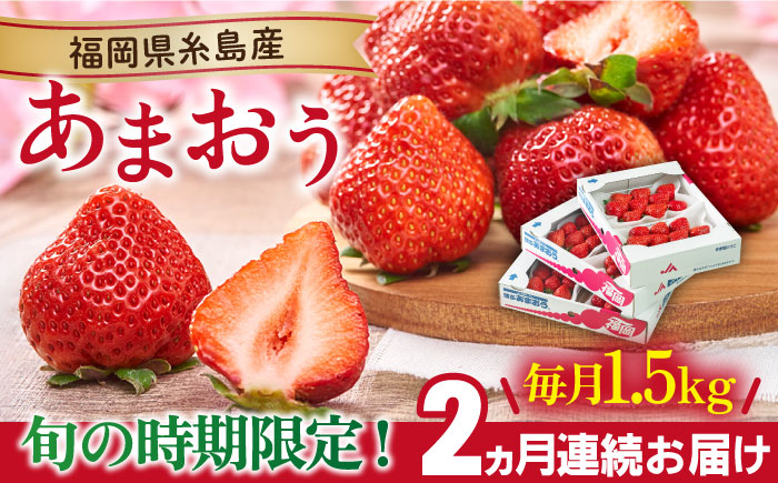 【先行予約】【全2回定期便】糸島産【春】 あまおう 6パック 毎月計1.5kg 【2026年2月より順次発送】糸島市 / 南国フルーツ株式会社 [AIK027]