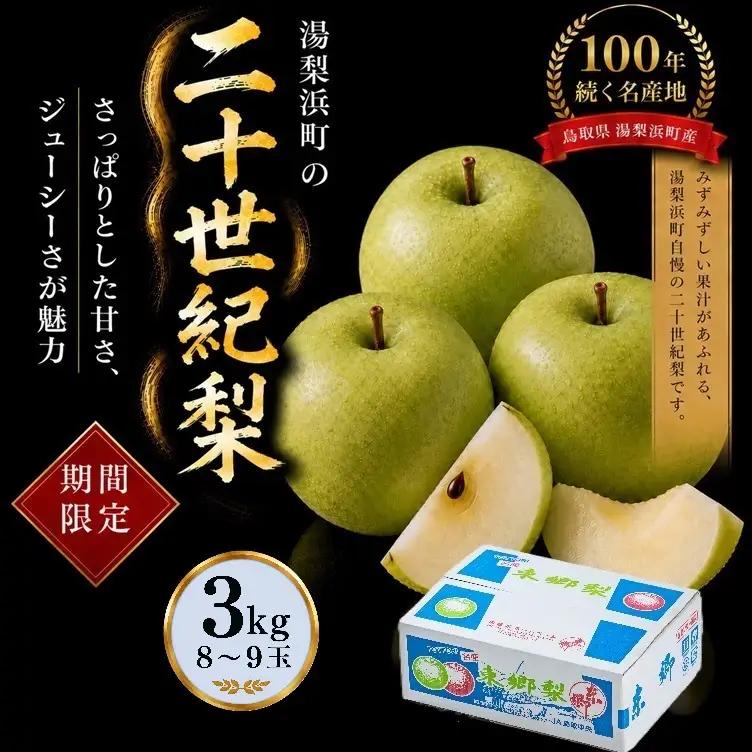 【期間限定】梨 なし 二十世紀 3kg 鳥取県 湯梨浜町 果物 フルーツ 特産品 8月中旬～9月上旬頃順次発送 先行予約 JA 東郷梨選果場 新鮮 人気 おすすめ 送料無料 選べる 内容量  くだもの フルーツ さっぱり さわやか ジューシー 定番 贈答 進物 5M