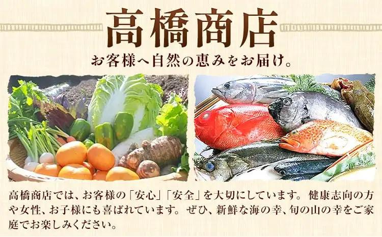 天草産 お魚屋さんの地魚フライセット（5-6切れ入り）6パック《30日以内に出荷予定(土日祝除く)》高橋商店