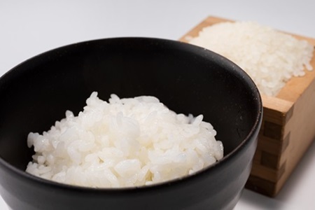 【12カ月定期便】京丹波こしひかり・きぬひかり 食べ比べセット 10kg×12カ月連続 合計120kg 京都 米 精米 コシヒカリ ※北海道・東北・沖縄は配送不可 [216MB003R]