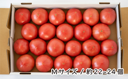 トマト 詰め合わせ 桃太郎はるか Mサイズ(約22～24個) 約計4kg | トマトトマトトマトトマトトマトトマト