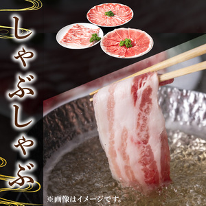 鹿児島県産 豚肉 薩摩 トロ豚 しゃぶしゃぶ 3種盛り 小分け (合計1.0kg)【KNOT】 A703