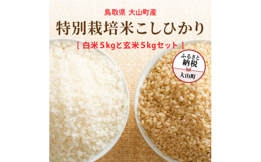 MR-15  減農薬・減化学肥料　特別栽培米こしひかり「白米」と「玄米」のセット 10kg（各5kg　計10kg）