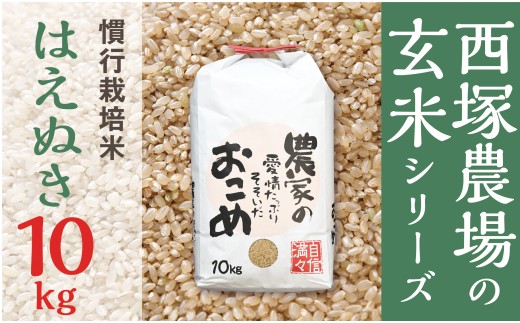 【令和8年産】慣行栽培米 はえぬき 玄米 10kg×1袋	