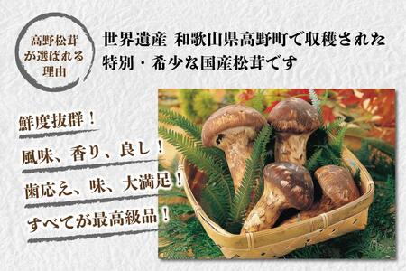 香り・歯応え・味ともに最高級！希少な国産松茸「高野松茸」200g【化粧箱入】【松茸 まつたけ 国産 高級】