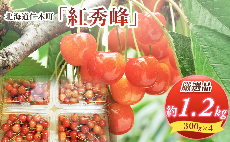 北海道 仁木町産 厳選品 さくらんぼ 紅秀峰 1.2kg (300g×4パック) Lサイズ以上　旬 桜桃 産地直送 サクランボ チェリー フルーツ 果物 果物類 ギフト 仁木町 仁木 [松山商店]