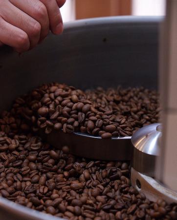 焙煎士一押し！コーヒー豆1kg大人買いセット ANY B&B+COFFEE 奈良県 奈良市 なら 31-009 30-099