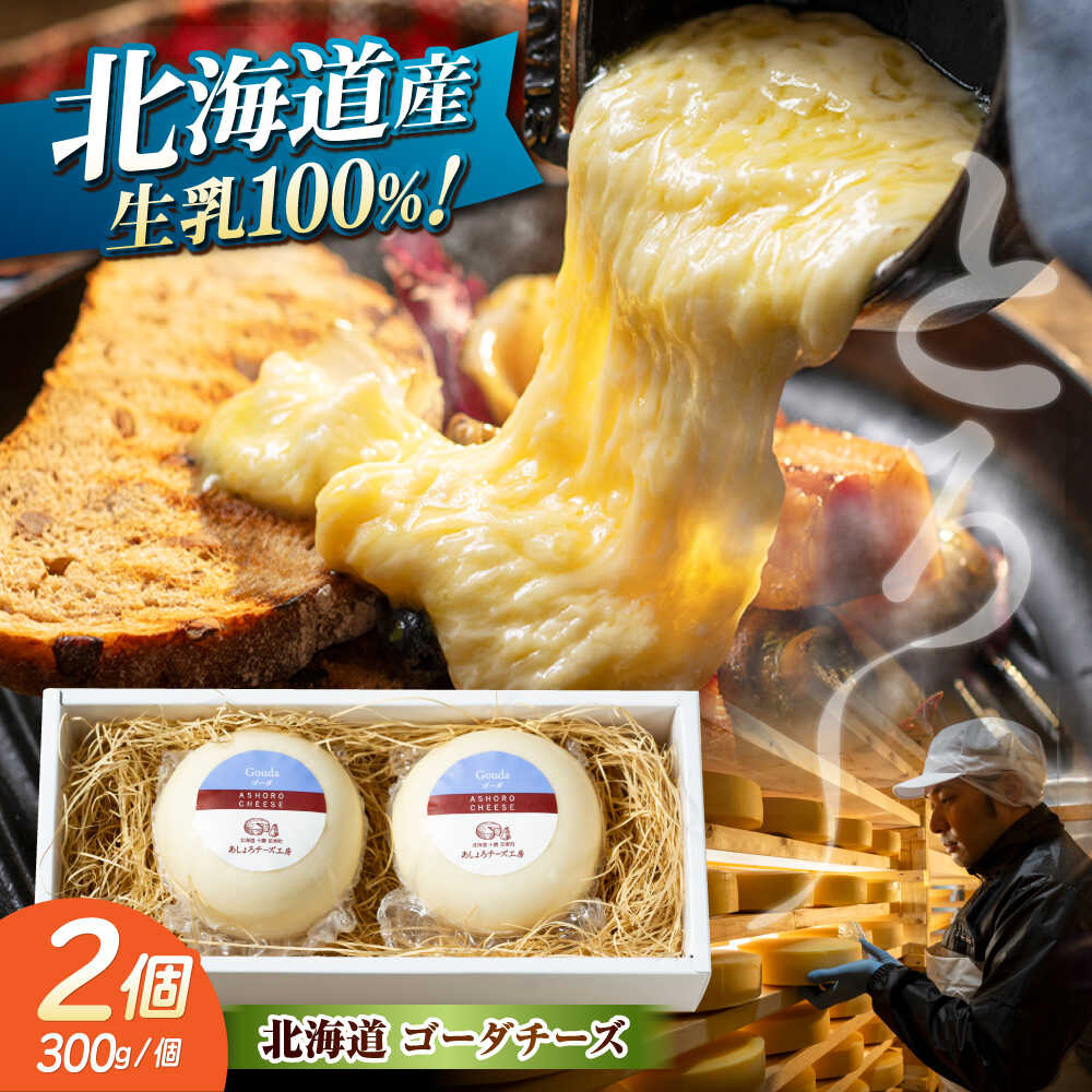 【ふるさと納税】 北海道 ゴーダチーズ 300g×2個《足寄町》【合同会社あしょろチーズ工房】チーズ セミハードチーズ ゴーダ 冷蔵 [BEAU001]