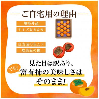 ふるさと納税 本巣市 《訳あり》富有柿3kg(12〜16個入り)　福井農園　不揃い |  | 02