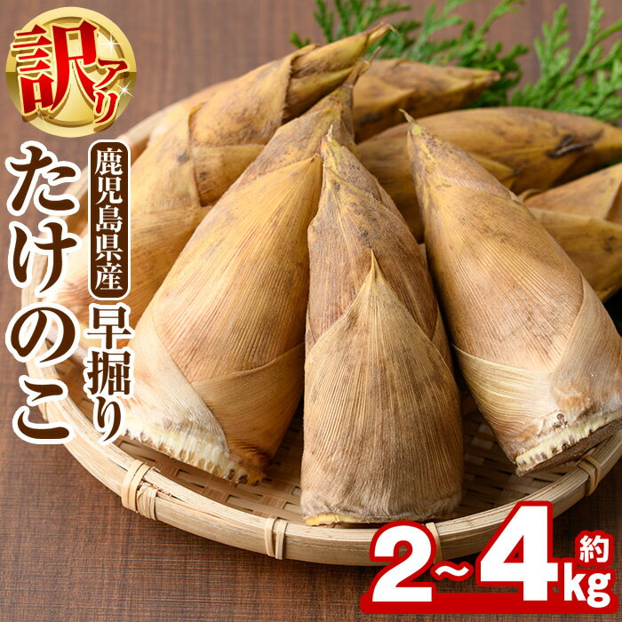 【ふるさと納税】＜内容量が選べる＞訳あり！鹿児島県産 早掘りたけのこ(約2kg〜4kg) 国産 野菜 たけのこ タケノコ 筍 旬 煮物 水煮 天ぷら つくだ煮【松永青果】