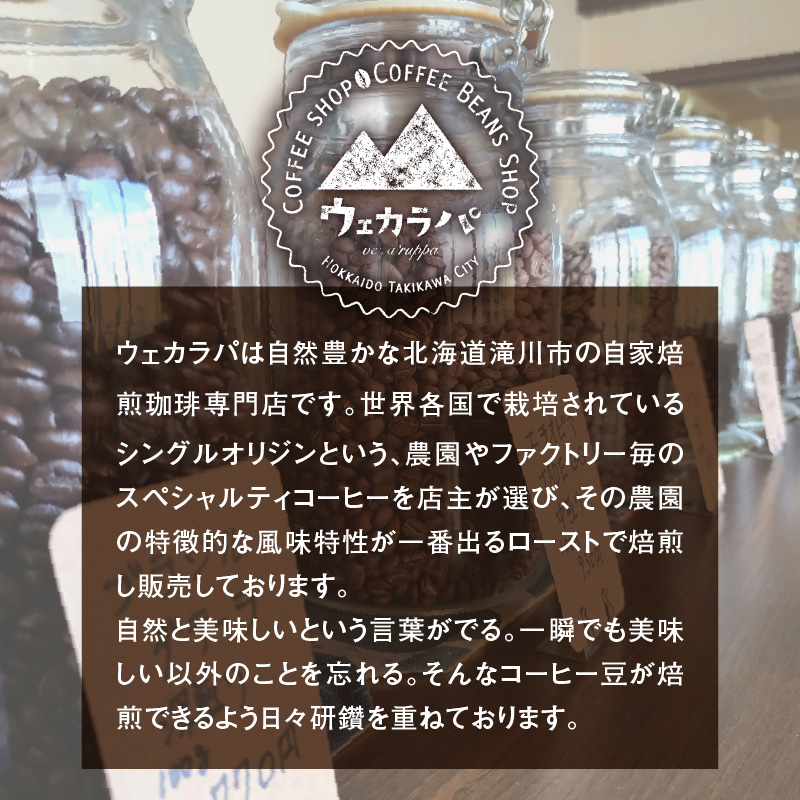 スペシャルティコーヒードリップバッグセット4種類16袋｜珈琲 コーヒー coffee 高品質 飲料 ドリップバッグ ドリップ 自家焙煎 自家焙煎珈琲 焙煎コーヒー 個包装 ソフトドリンク ブラック 人