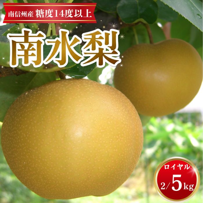 【ふるさと納税】梨 南水【南信州産】南水梨 約2kg～ 糖度14度以上 長野県 信州 高森町 産地直送 果物 くだもの なし ナシ 和梨 旬 旬の果物 旬の梨 なんすい 下伊那園芸農業協同組合【配送不可地域：沖縄、離島】