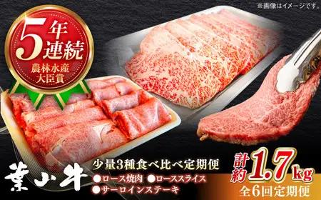 【全6回定期便】葉山牛 少量3種食べ比べセット 牛肉(ロース・ローススライス・サーロインステーキ)[ASBD025]