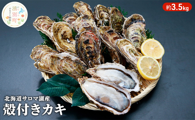 【国内消費拡大求む】 先行予約 北海道 サロマ湖産 カキ 約3.5kg 牡蠣 海鮮 魚介 国産 殻付き 貝付き 生食 焼き牡蠣 蒸し牡蠣 冷蔵 産地直送 オホーツク 魚貝類 生牡蠣 かき 殻付きカキ 