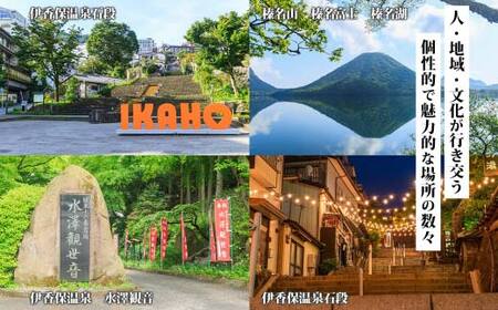 群馬県 渋川市 旅行クーポン 900,000円分 温泉 伊香保 小野上 観光 旅行 ホテル 旅館 老舗 高級 トラベル チケット 家族 カップル 宿泊 予約 おすすめ 父の日 母の日 旅行券 宿泊券 