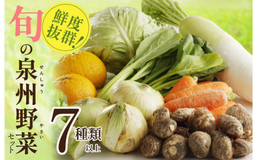 
【年内発送】旬の野菜セット 詰め合わせ 7種類以上 国産 新鮮 お試し おまかせ お楽しみ
