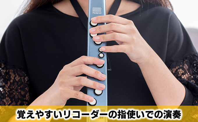 【Roland】ウインドシンセサイザー/エアロフォンミニ【配送不可：離島】 楽器 管楽器 