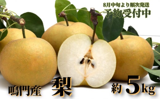 【予約受付中・2025年8月中旬頃より順次発送】徳島県鳴門市産「 梨 」 約 5kg 【数量限定】 国産梨　フルーツ　ジューシー　甘い　幸水 豊水 あきづき 新高