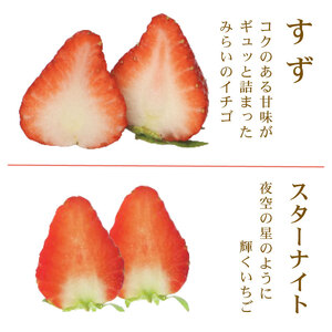 いちご 先行予約 ベリーポップすず スターナイト 500g いちご 