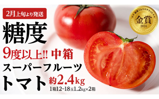 《 2026年収穫分 先行予約 》 糖度9度以上 スーパーフルーツトマト 中箱 約1.2kg × 2箱  (12～18玉/1箱) フルーツトマト ブランドトマト 野菜 ギフト 贈答 [BC014sa]