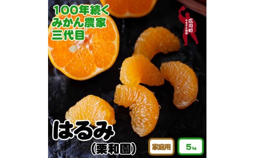 ■和歌山県 有田産 はるみ 約5kg (ご家庭用)　※2025年2月中旬頃～3月下旬頃に順次発送予定 ※着日指定不可【krw013-c-5】