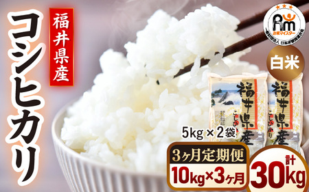 【米の定期便3ヶ月】令和7年産 コシヒカリ精米 10kg × 3回（計30kg）福井県産【ごはん 人気品種 産地直送 新生活 銘柄米】 [e66-h001]
