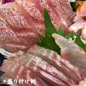 [ととパッチョ] 相模湾のいさき 計240g (60g×4袋)《手軽にカルパッチョができるお魚スライス真空パック －80℃旬間凍結品》 [0915]