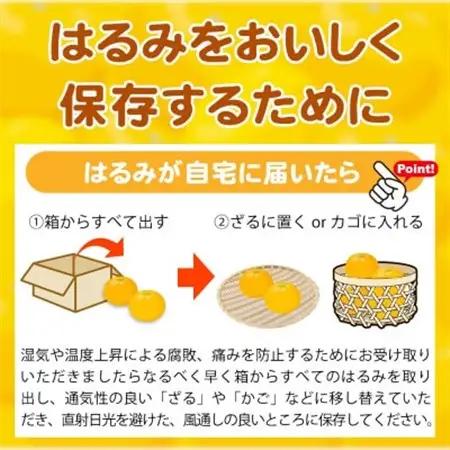 果肉ぷりぷり!完熟はるみ　5kg【日高町】【1217231】