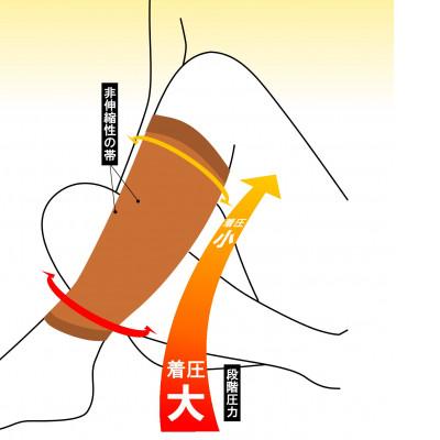 ふるさと納税 かほく市 【ふるさと納税】ツカレナイン 着圧サポーター【フクラハギ】(ブラック:Lサイズ)1ペア(両足2枚入) |  | 03