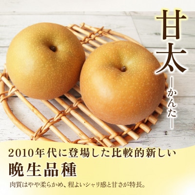 甘太 梨 3kg 6～10玉 【2026年収穫分】かすみがうら市【配送不可地域：離島・沖縄県】