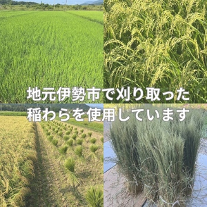 1904 伊勢しめ縄 笑門 小寸 青物付き（橙）しめ縄 数量限定 魔除け 厄除け 手作り 玄関閉め 年末 家内安全 伝統工芸品 正月　笑門 無病息災 家内安全 蘇民将来 伊勢 伊勢志摩