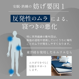 高反発寝具ブレスエアー®製敷パッド「ライト」キングサイズ BB06 近江化成 東近江 