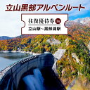 【ふるさと納税】立山黒部アルペンルート 往復優待券 1枚 (立山駅～黒部湖駅) 往復 優待券 優待チケット 立山黒部観光 立山駅 黒部湖駅 山岳観光 アルペンルート 旅行 トラベル 観光 レジャー 優待 チケット F6T-155