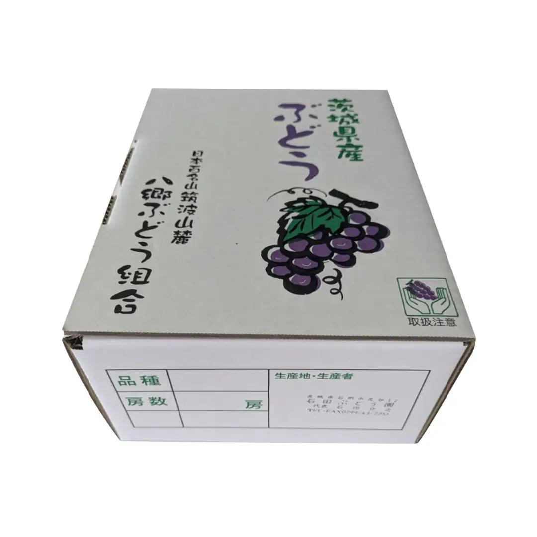 《 2026年 収穫分 》 シャインマスカット 1.5kg 2～4房 (桜川市・石岡市共通返礼品) 先行予約 石田ぶどう園 国産 茨城県 桜川市 マスカット ぶどう ブドウ 葡萄 果物 くだもの フル