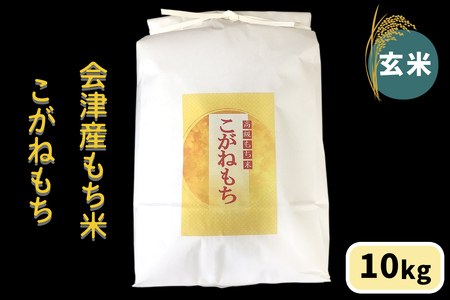 会津産もち米「こがねもち」【玄米】10kg｜令和7年産 2025年産 会津若松市 もちごめ 餅米 米 新米 [1041]